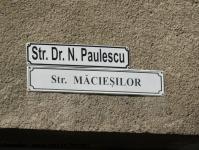 Imagine atasata: Str. Dr. N. Paulescu - 2014.06.12 - 04.jpg